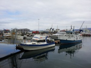 Reykjavik Hafen